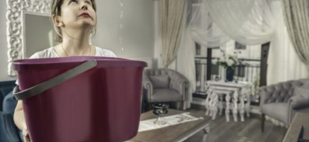 7 Signs Your Home Might Have a Plumbing Leak
