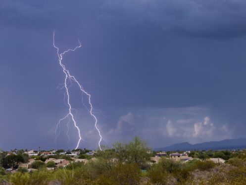 Whole House Surge Protectors in Lake Havasu City, AZ