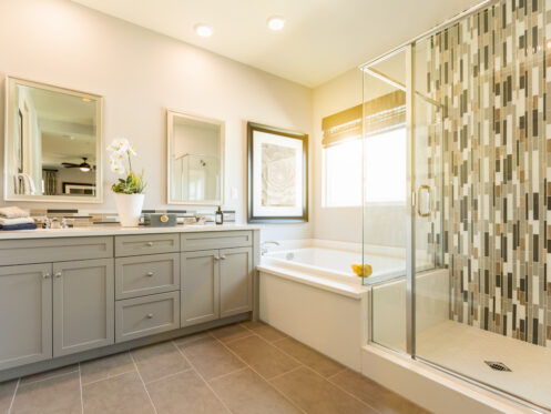 Must-Have Plumbing for Your Home Bathroom